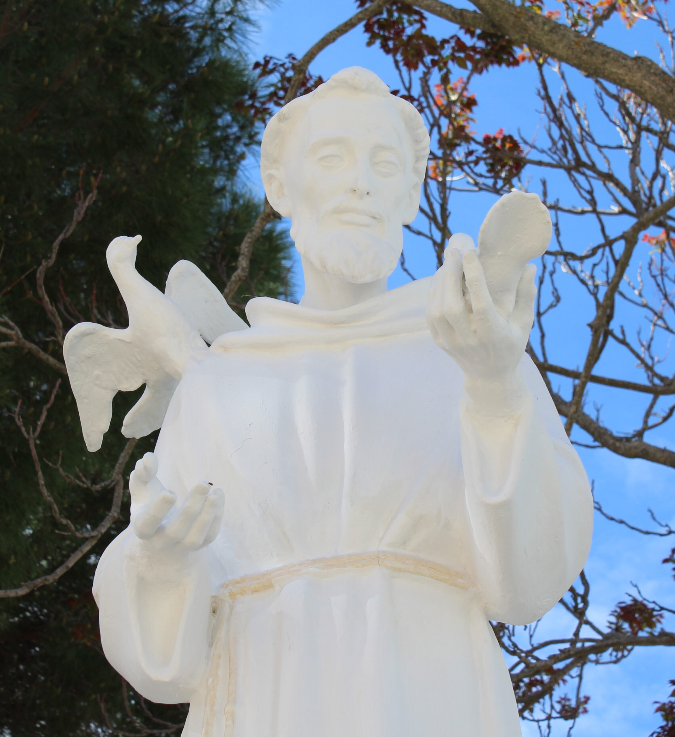Novena e festa di San Francesco di Lula 2023-Nomina nuovi Priori